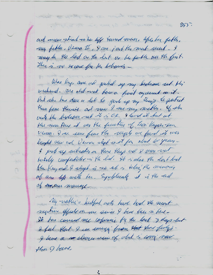 Dr John WorldPeace 2008 Prison Journal